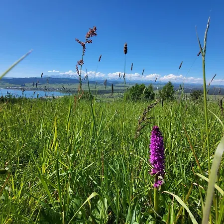 Talarowka * Szlembark