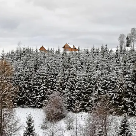 Talarowka Villa *