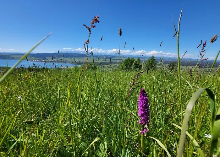 Talarówka * Szlembark