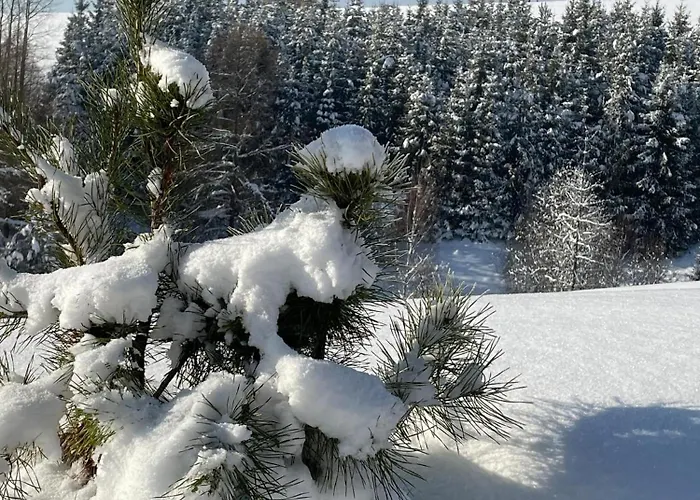 Talarówka Villa Szlembark